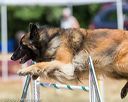 20160619-cckc-0821