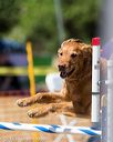 20160619-cckc-0830