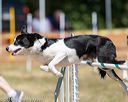 20160619-cckc-0834