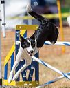 20160619-cckc-0842