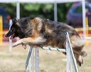 20160619-cckc-0844