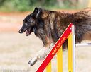 20160619-cckc-0847