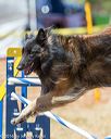 20160619-cckc-0850