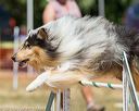 20160619-cckc-0852
