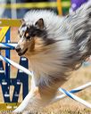20160619-cckc-0861