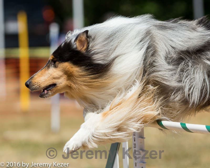 20160619-cckc-0857.jpg