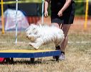 20160619-cckc-1095