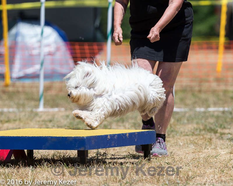 20160619-cckc-1095.jpg