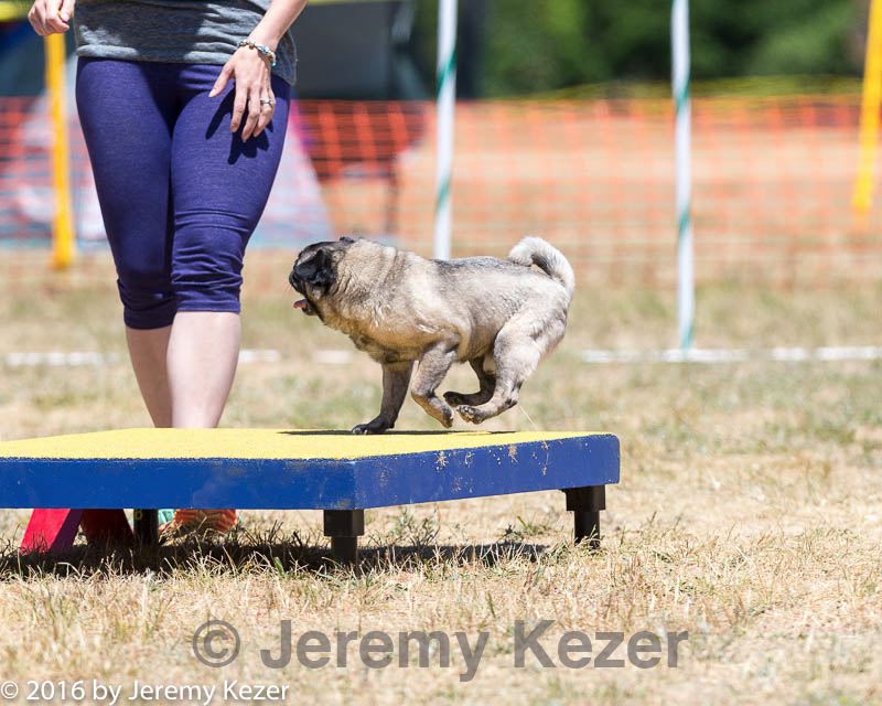 20160619-cckc-1103.jpg