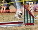 20160619-cckc-1106