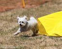 20160619-cckc-1113