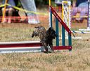 20160619-cckc-1117