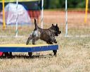 20160619-cckc-1121