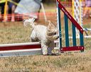 20160619-cckc-1157