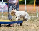 20160619-cckc-1159