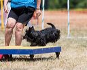 20160619-cckc-1168