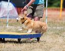 20160619-cckc-1174
