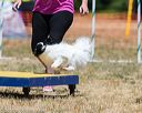 20160619-cckc-1182
