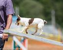 20160619-cckc-1192
