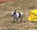 20160619-cckc-1194