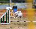 20160619-cckc-1197