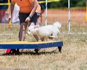 20160619-cckc-1199