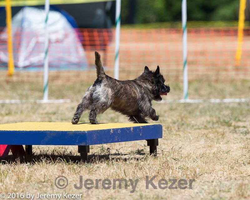 20160619-cckc-1121.jpg