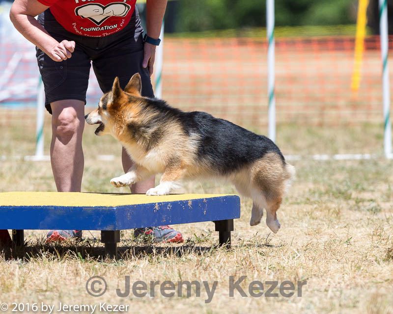 20160619-cckc-1137.jpg