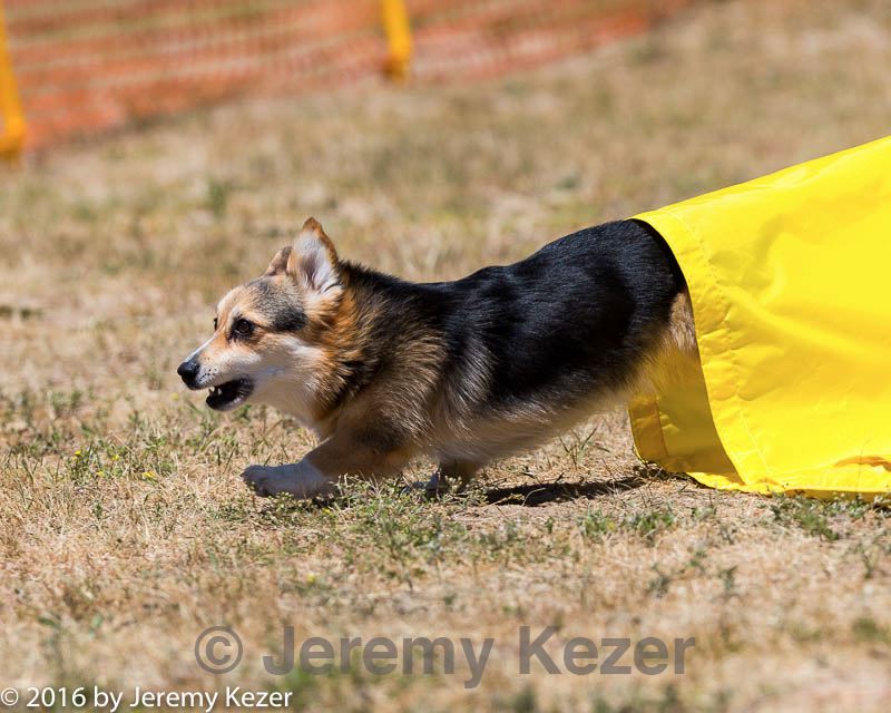 20160619-cckc-1141.jpg