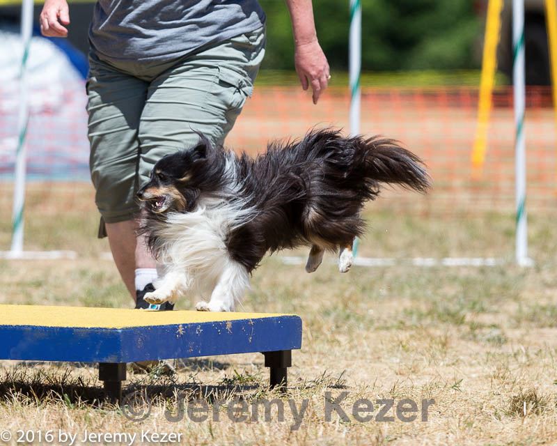 20160619-cckc-1143.jpg