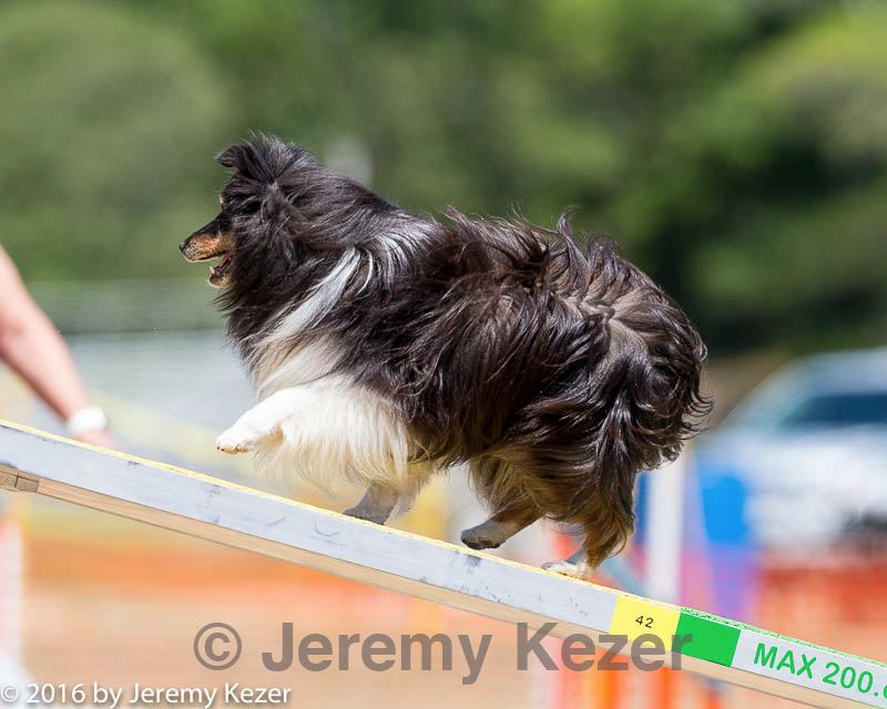 20160619-cckc-1144.jpg