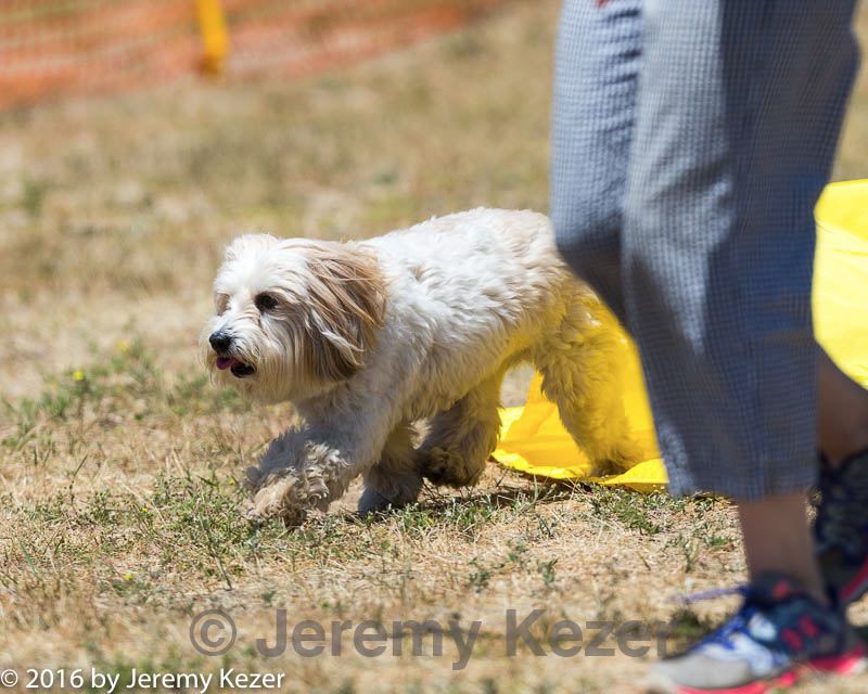 20160619-cckc-1163.jpg