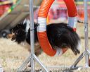 20160619-cckc-1217