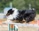20160619-cckc-1242