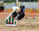 20160619-cckc-1247