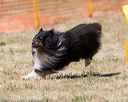 20160619-cckc-1252