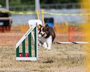 20160619-cckc-1282
