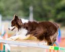 20160619-cckc-1284