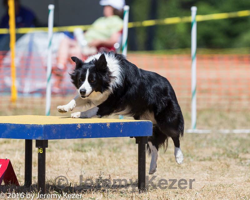 20160619-cckc-1223.jpg