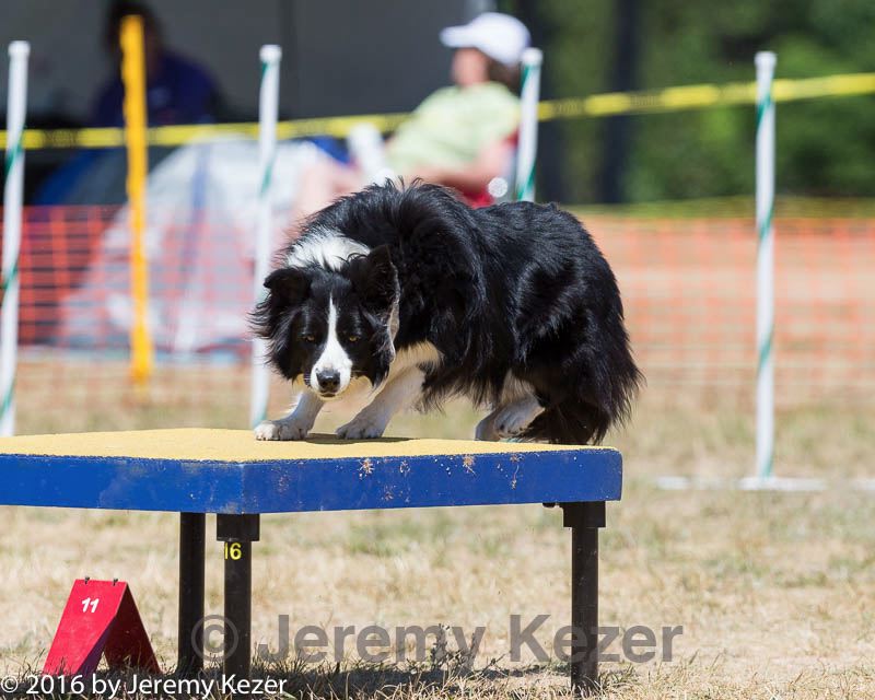 20160619-cckc-1224.jpg