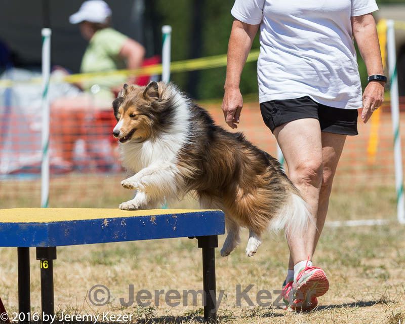 20160619-cckc-1232.jpg