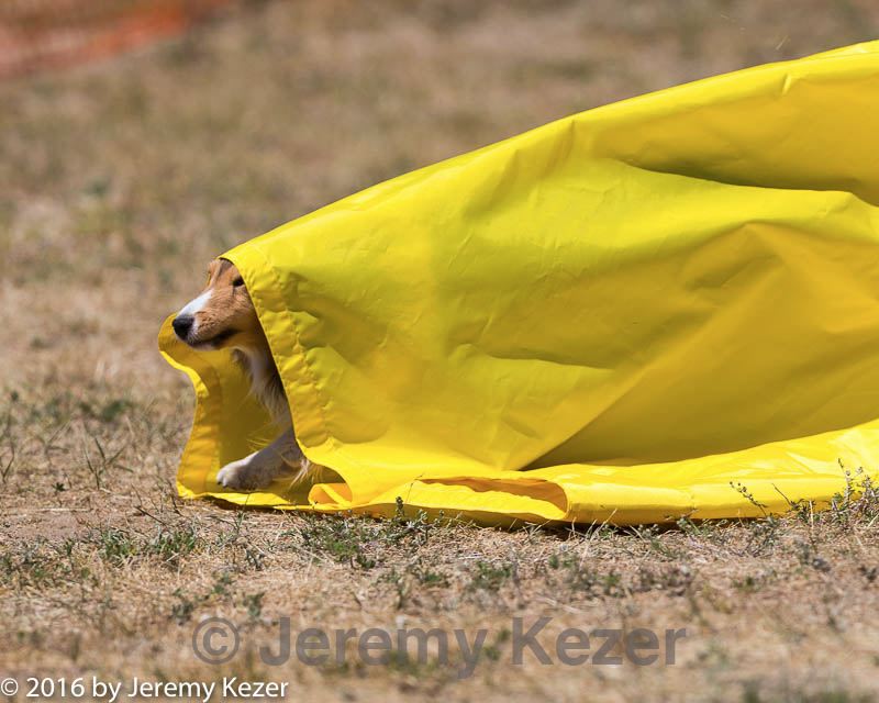 20160619-cckc-1235.jpg