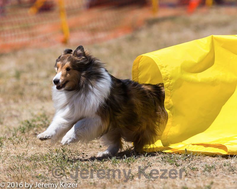 20160619-cckc-1237.jpg