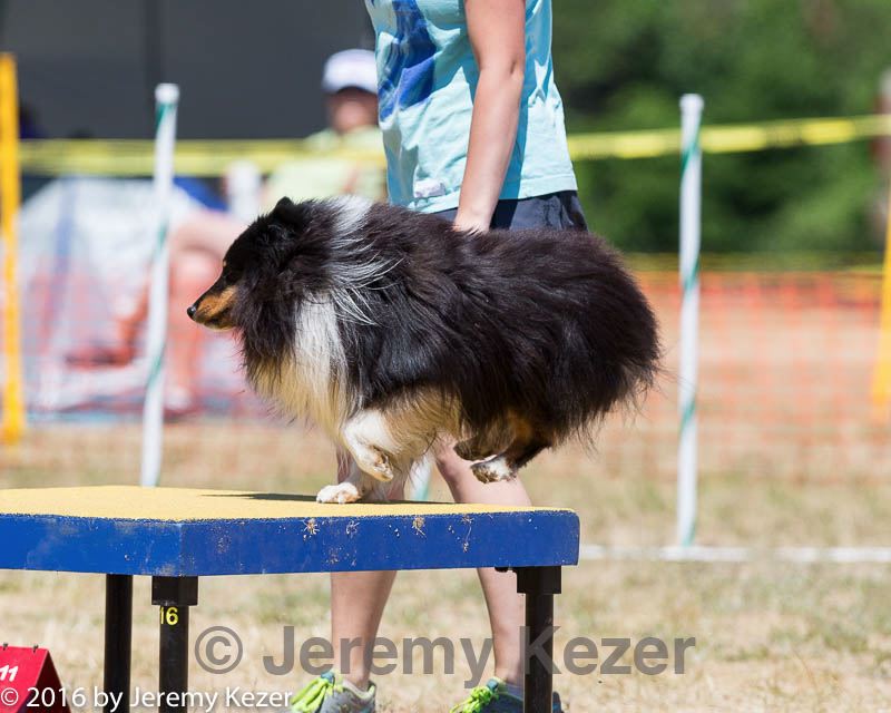 20160619-cckc-1251.jpg