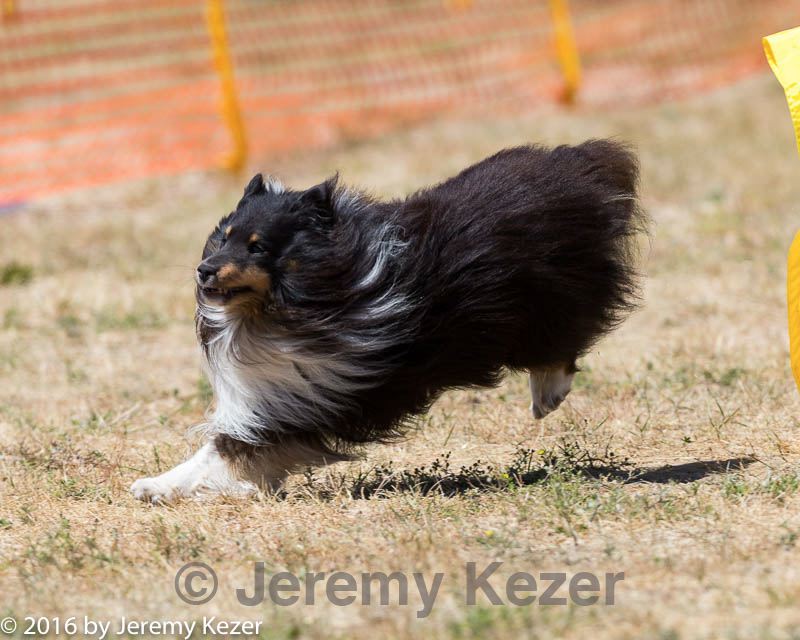 20160619-cckc-1252.jpg