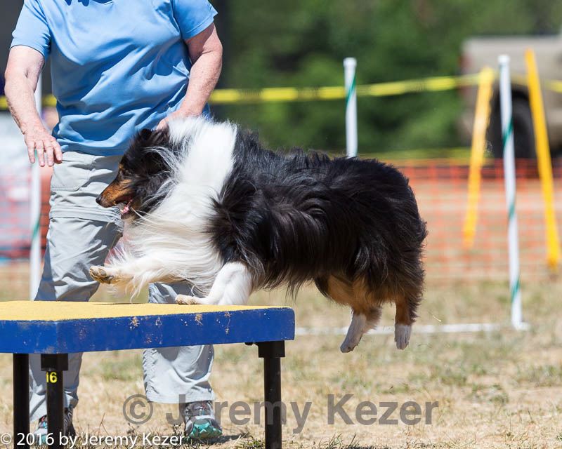 20160619-cckc-1258.jpg