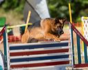20160619-cckc-1292