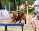 20160619-cckc-1325