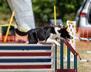 20160619-cckc-1348