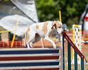 20160619-cckc-1361